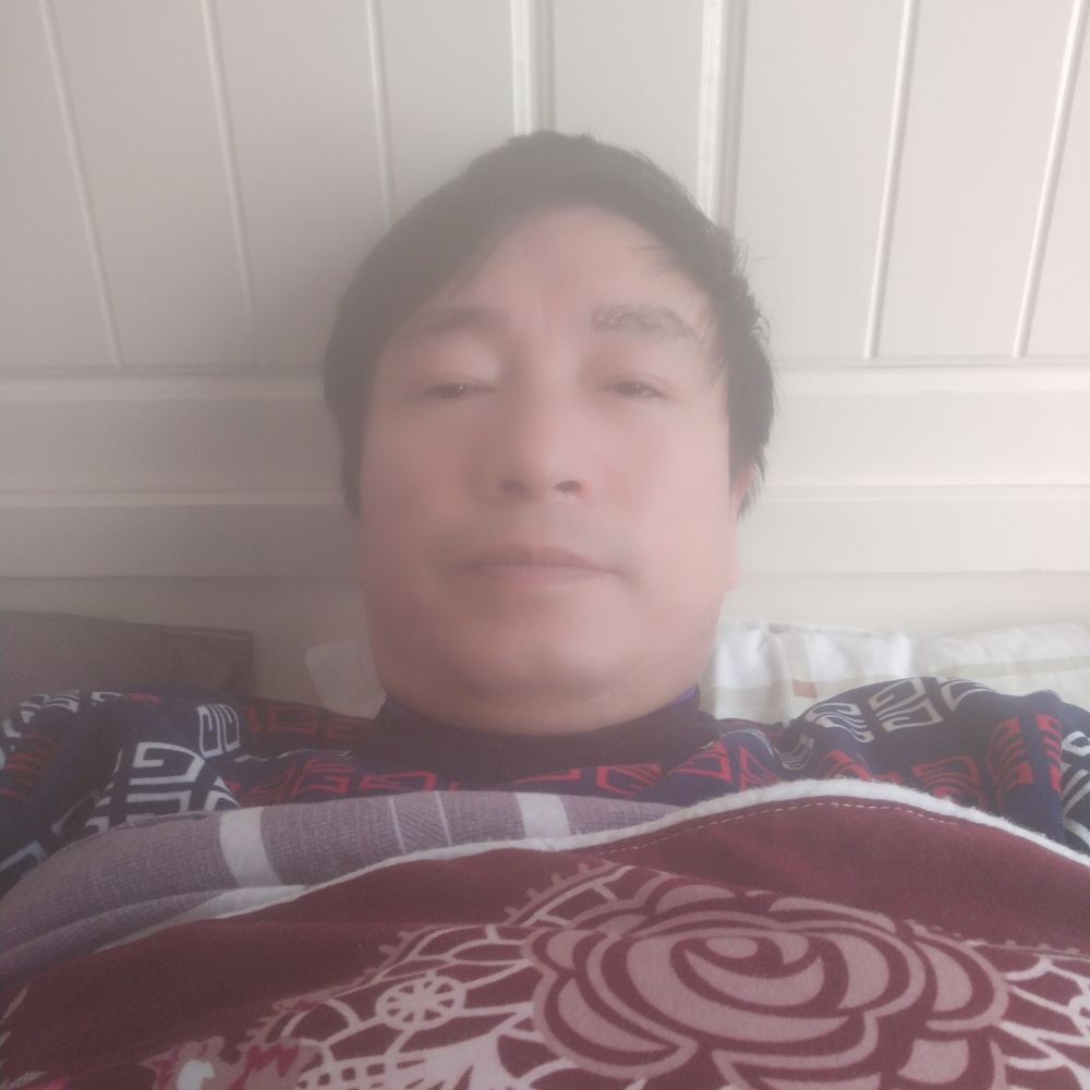 重要放弃黄蜂的照片