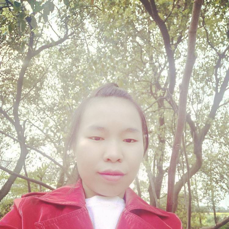 糖唐糖的照片