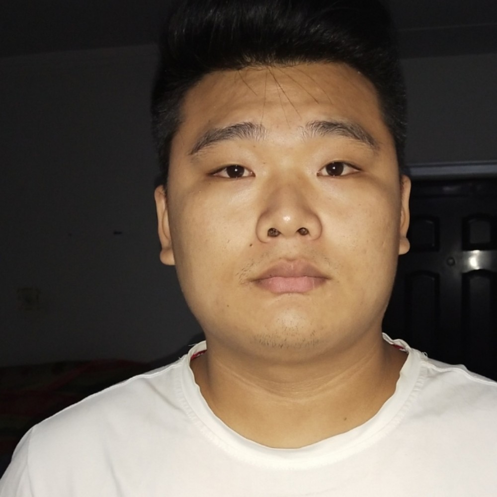 想人陪小海豚的照片