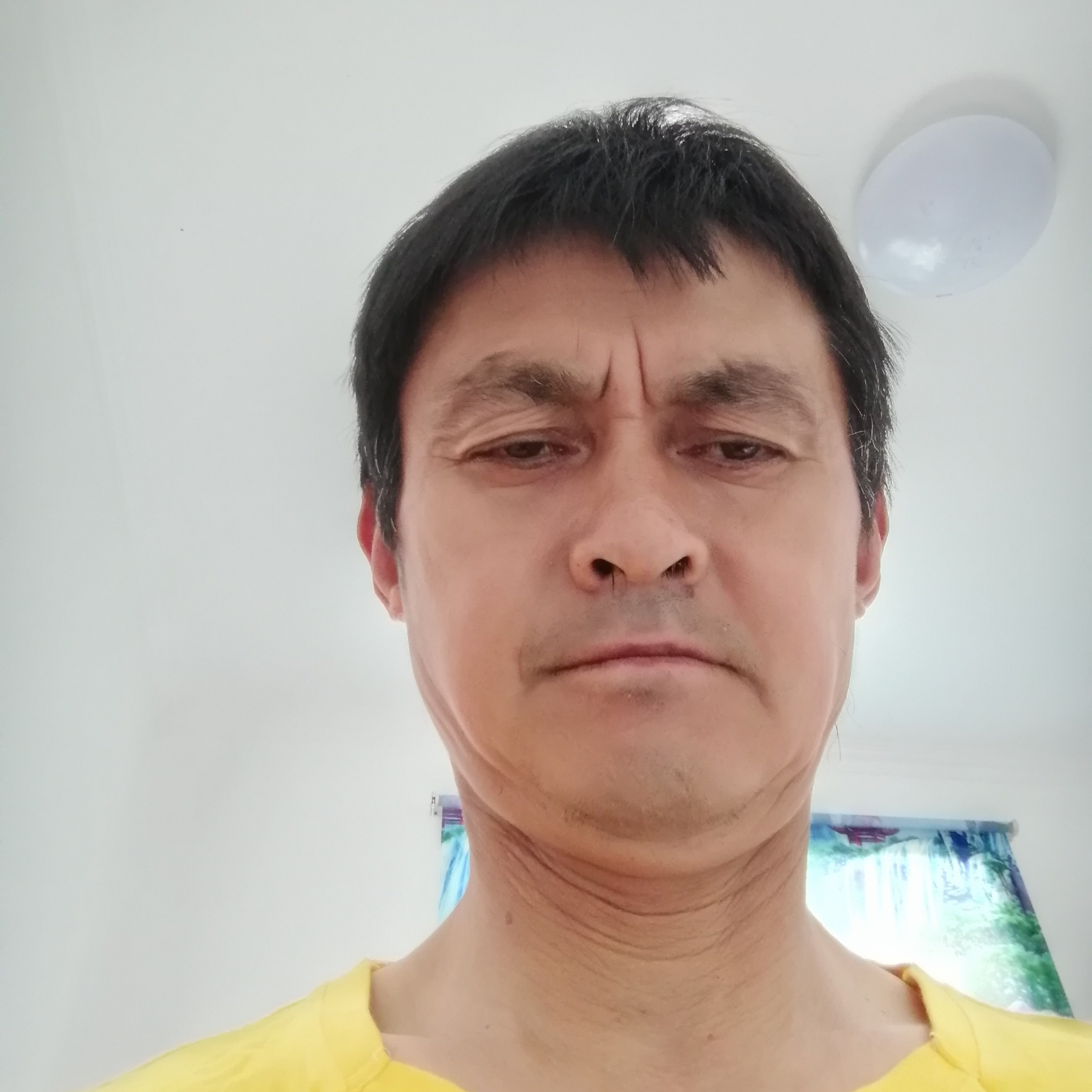 迷离等于眼睛的照片