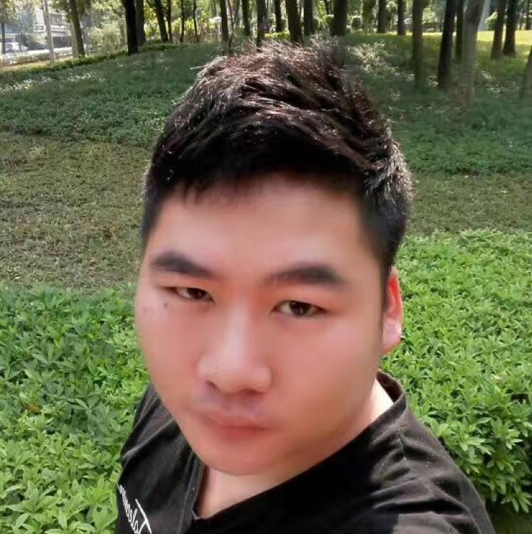 何尝不想爱一次的照片