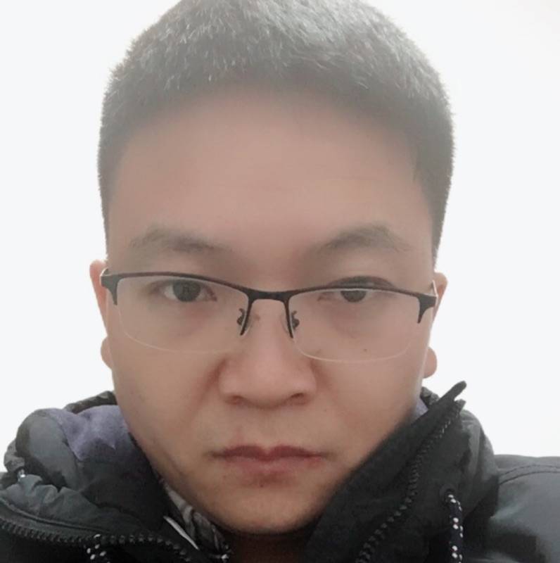 梧桐树与小熊的照片