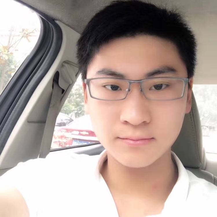 笨笨熊的照片