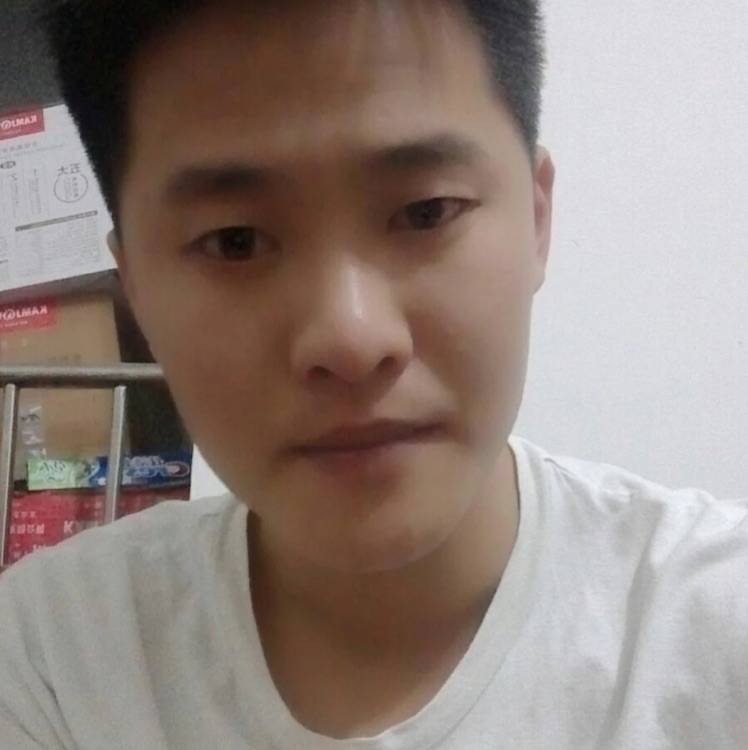 鸥翔鱼游的照片