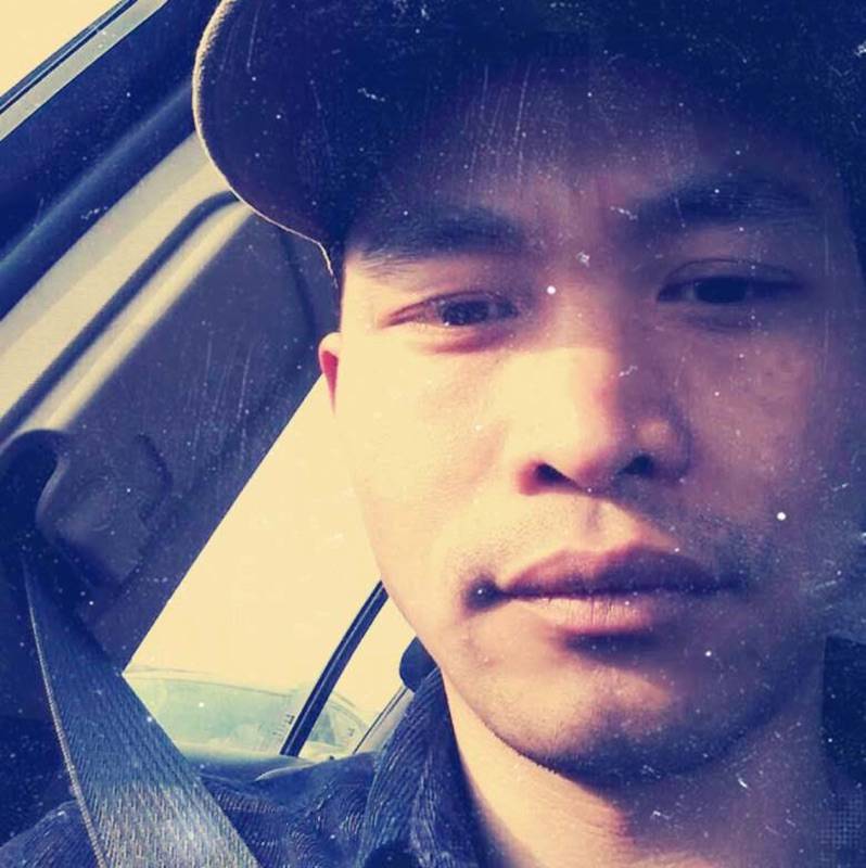 一只沉默的小海龟的照片