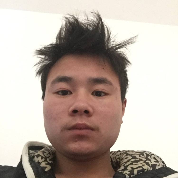 秦亮的照片