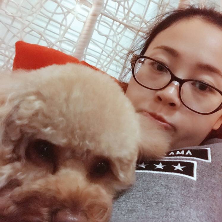 香蕉泡泡龙的照片