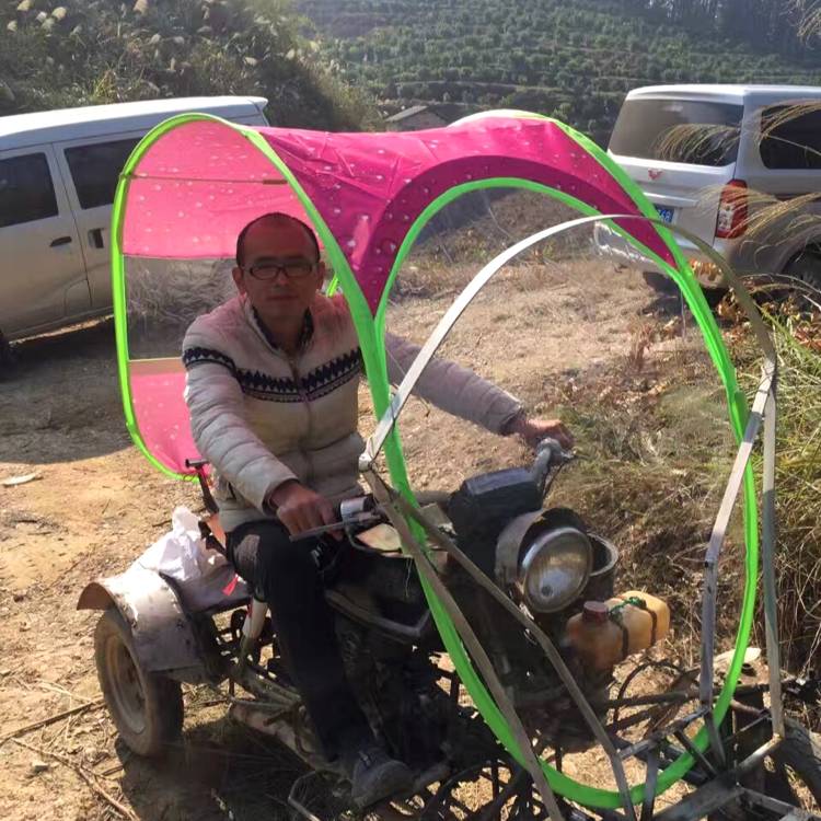 陆洪树的照片