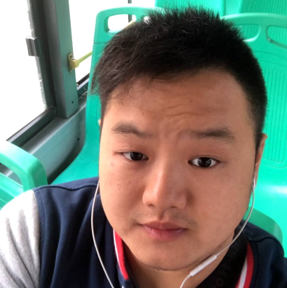 吃鲨鱼的猫的照片