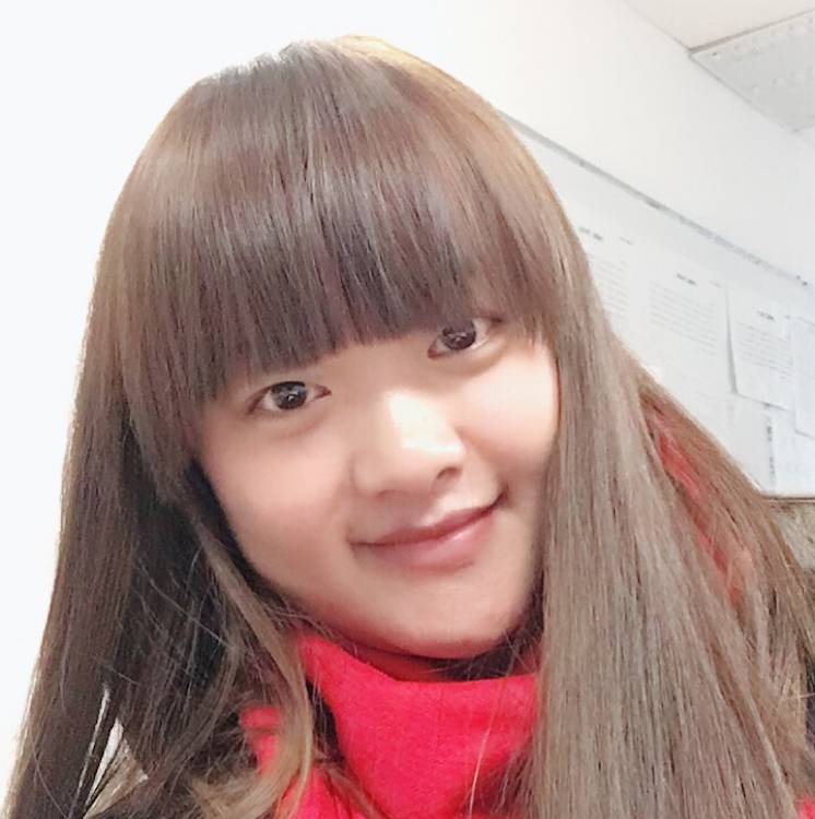 简单大雁的照片