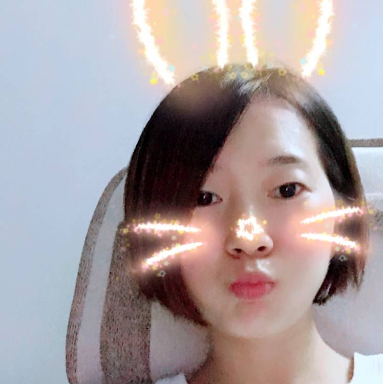 一只猫的照片