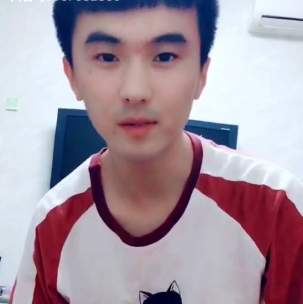 巷子里的猫的照片