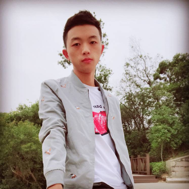 孤独奇异果的照片