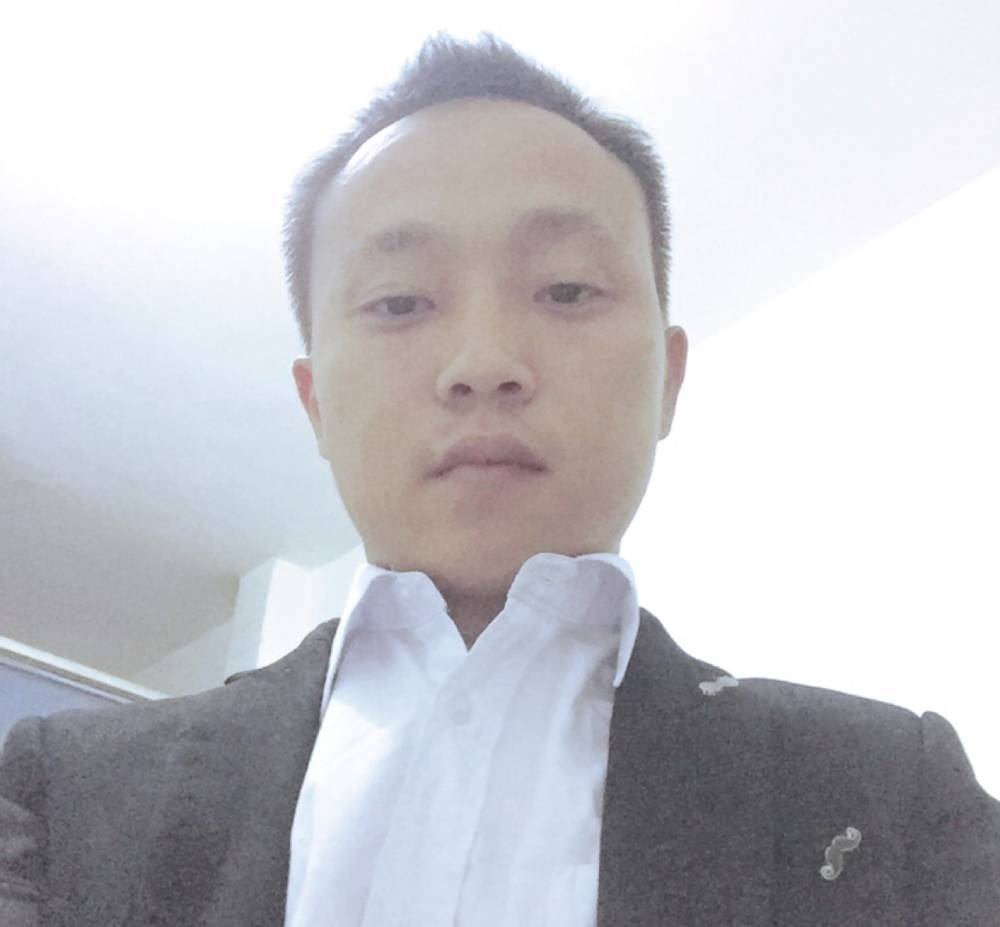 灵巧斑马的照片