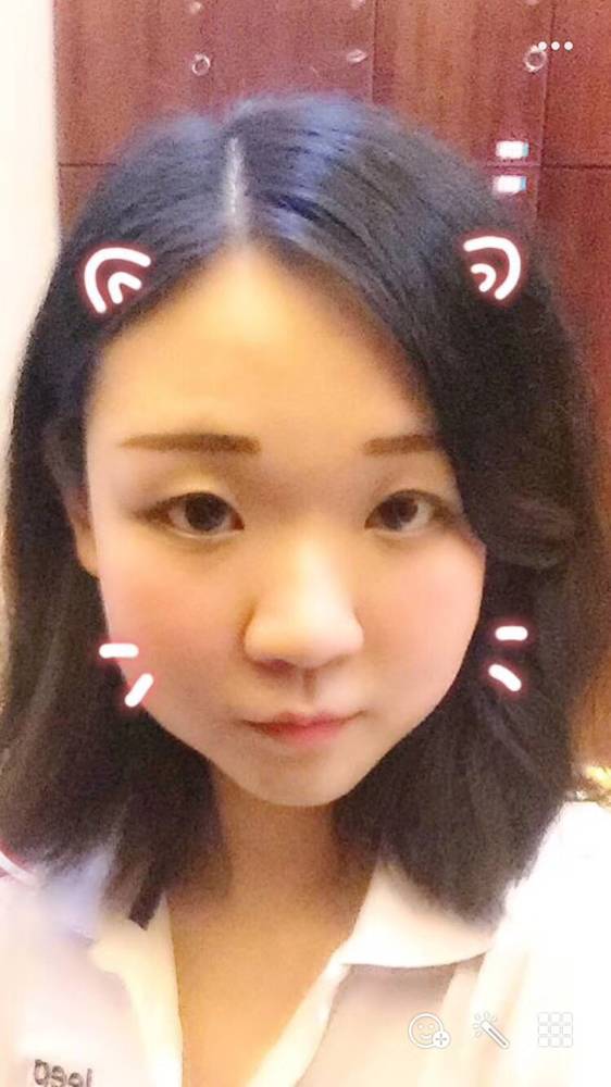叶子的照片