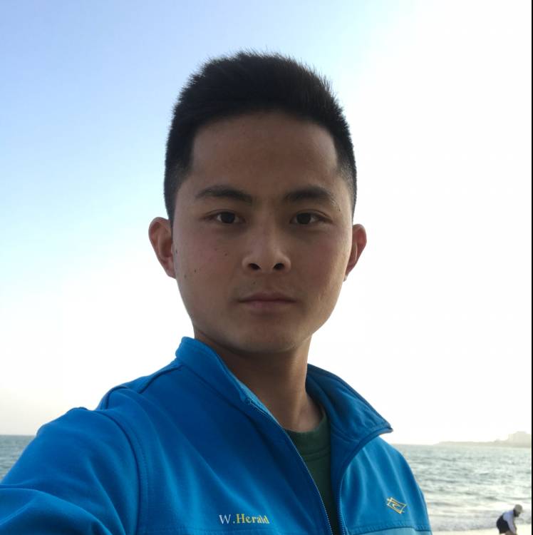 兴奋发夹的照片