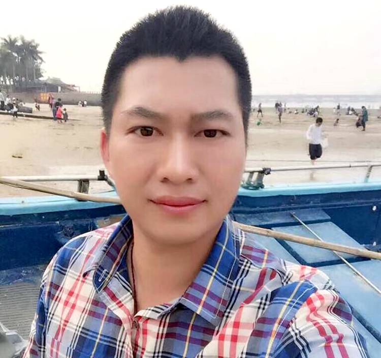 绿叶的照片