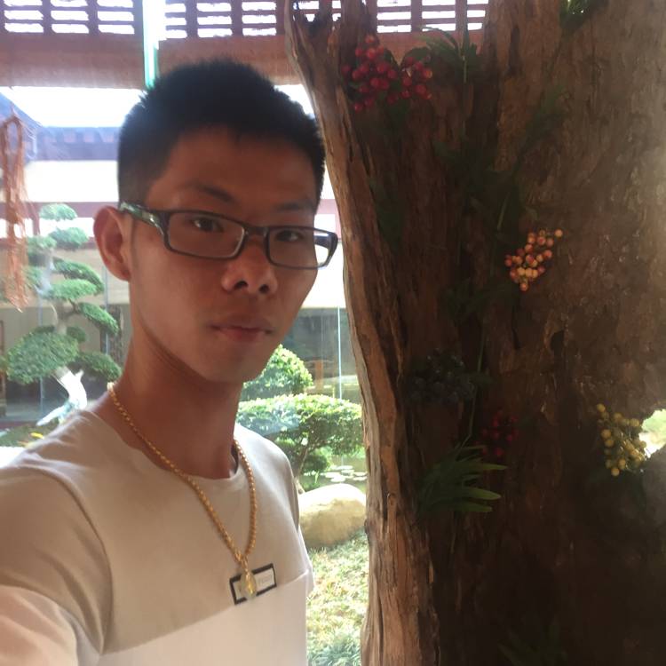 懵懂奇异果的照片
