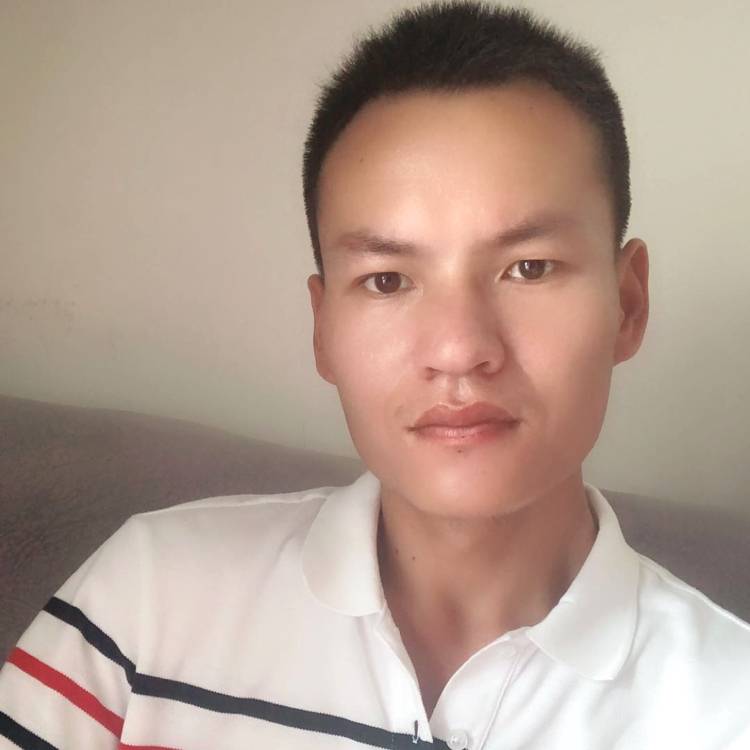 踏实世界的照片