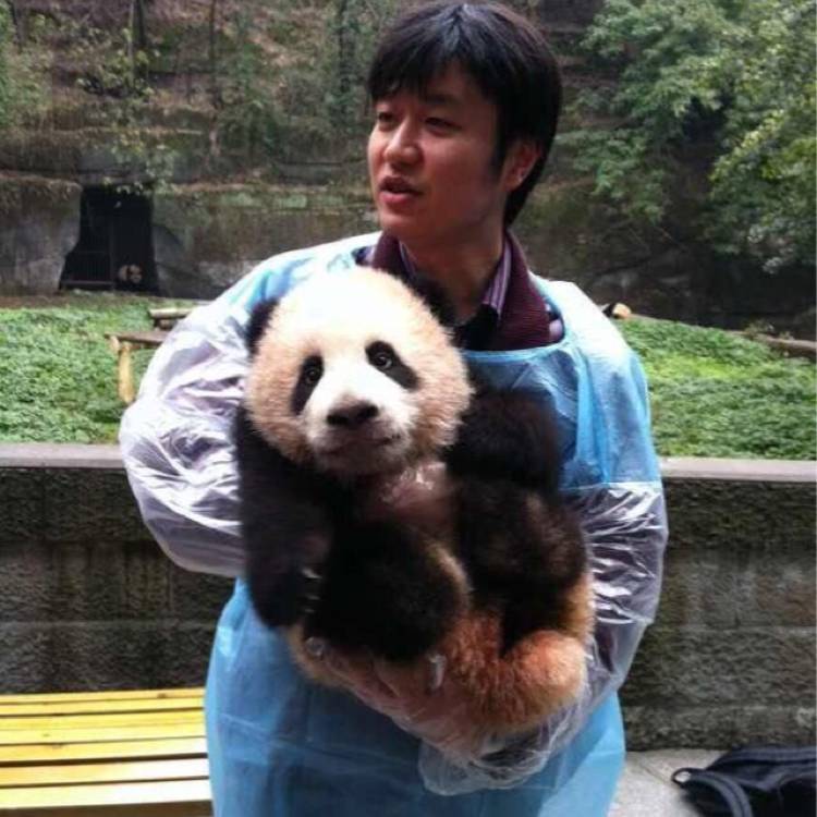 熊猫哥赵亮的照片