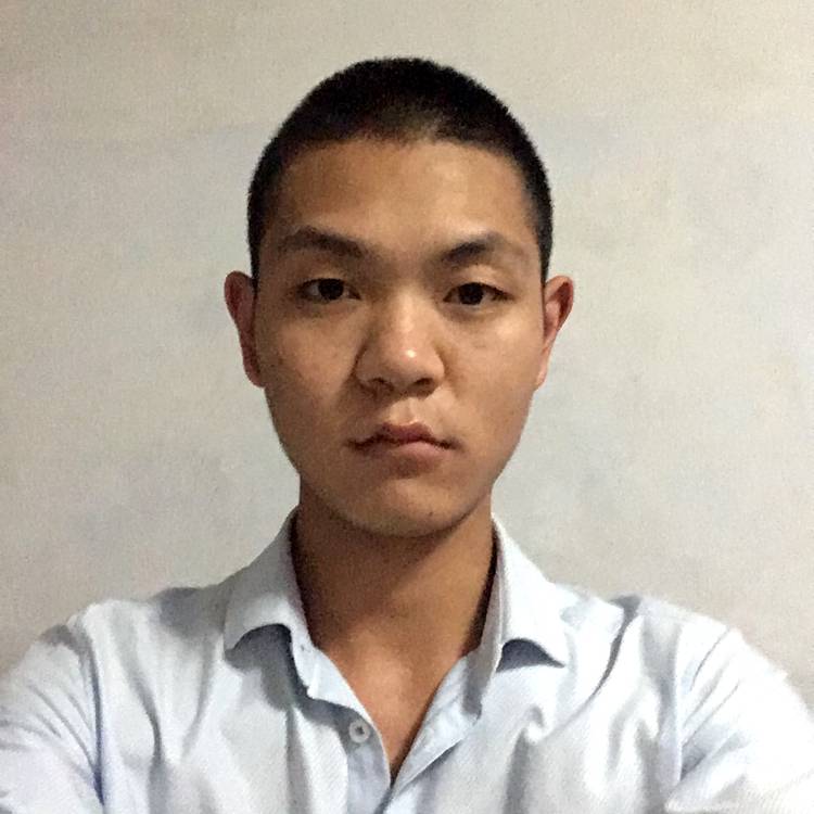 平淡鸵鸟的照片