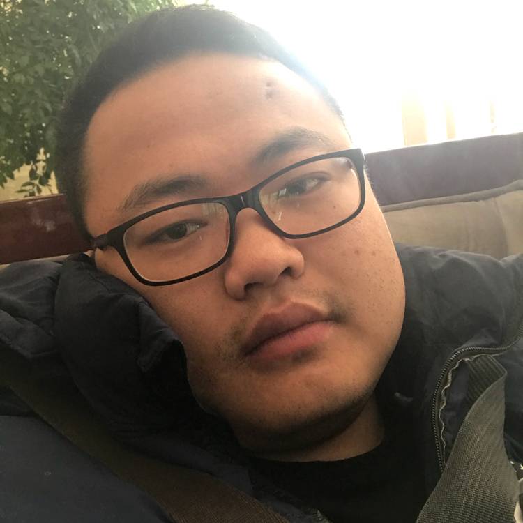 淡淡蜗牛的照片