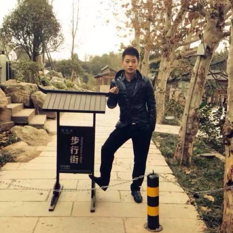 零碎蚂蚁的照片