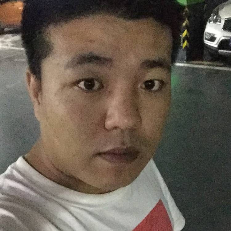 堤岸的照片