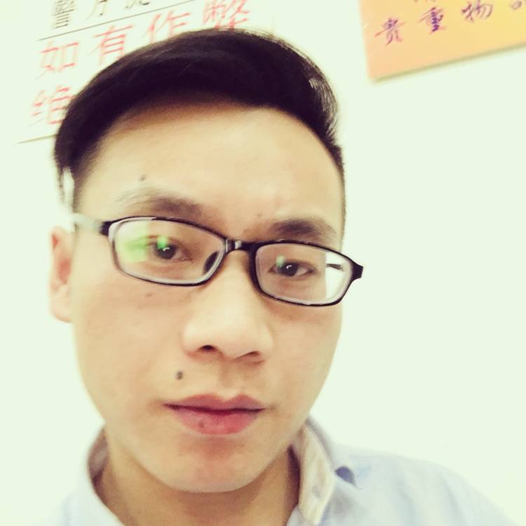 沉默蚂蚁的照片