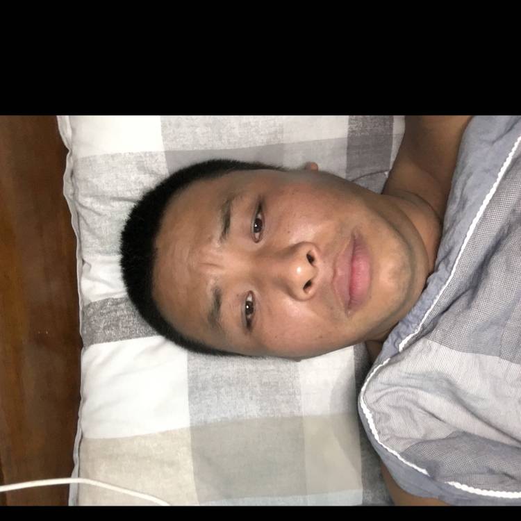 可靠情殇的照片