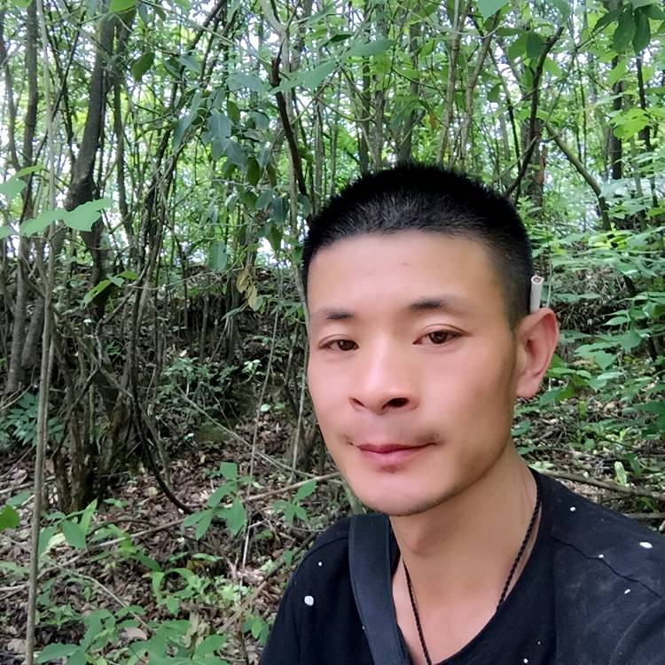 袁朝波的照片