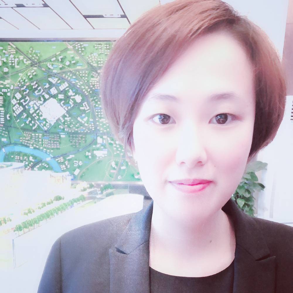 森林猫的照片