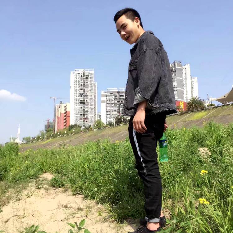 流年的长颈鹿的照片