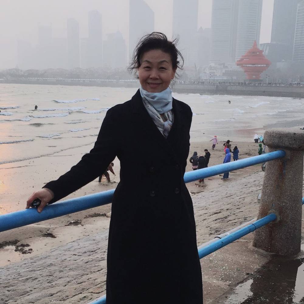 优美康乃馨的照片