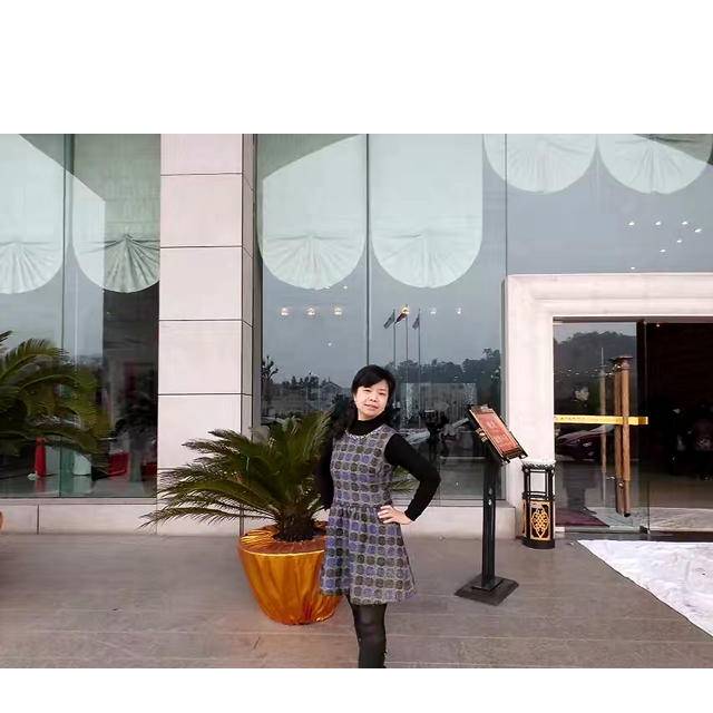 无情小海豚的照片