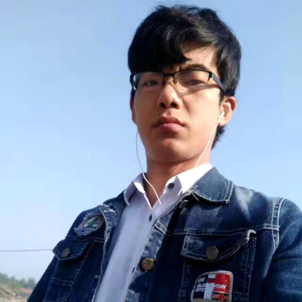 落寂鲜花的照片