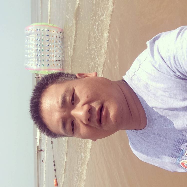 虎的照片