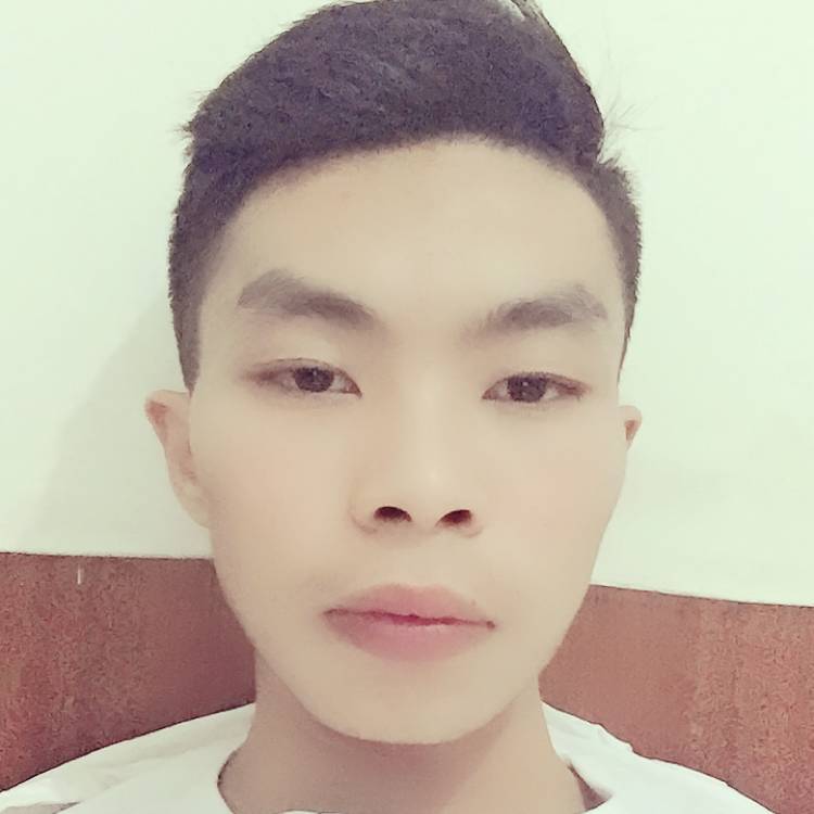 绚烂夏天的照片