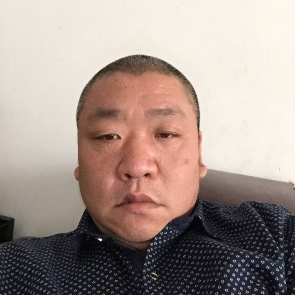 温婉猫咪的照片