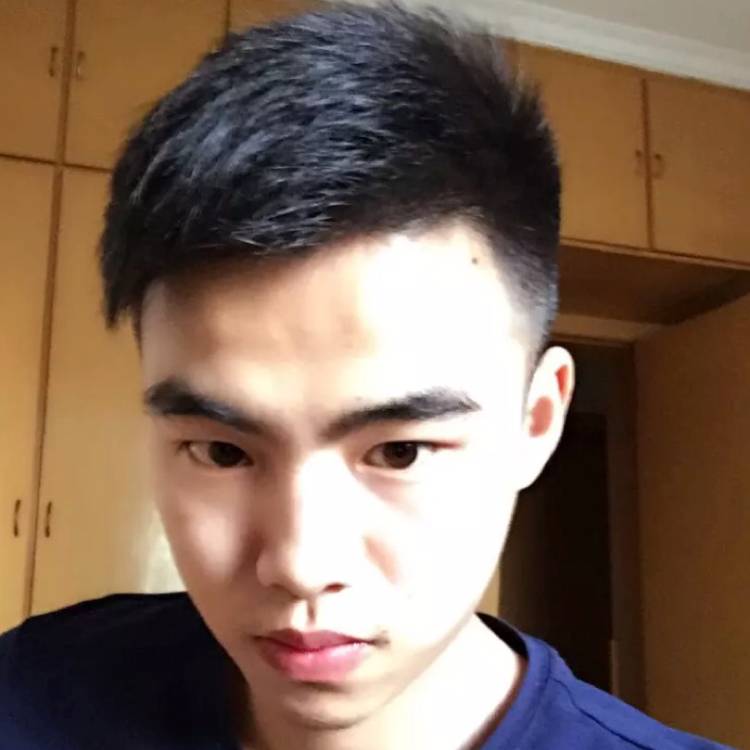 不一样的尘埃的照片