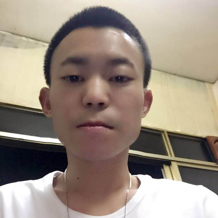 坚定向日葵的照片
