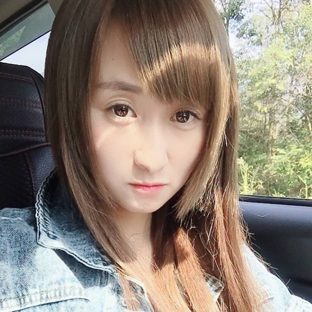 仙人掌的照片