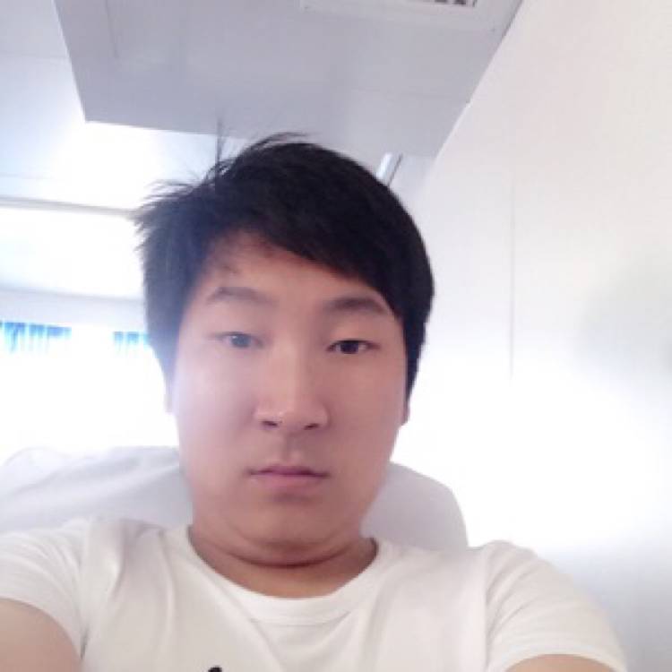 迅速森槿的照片