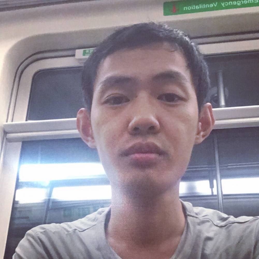 透彻白猫的照片
