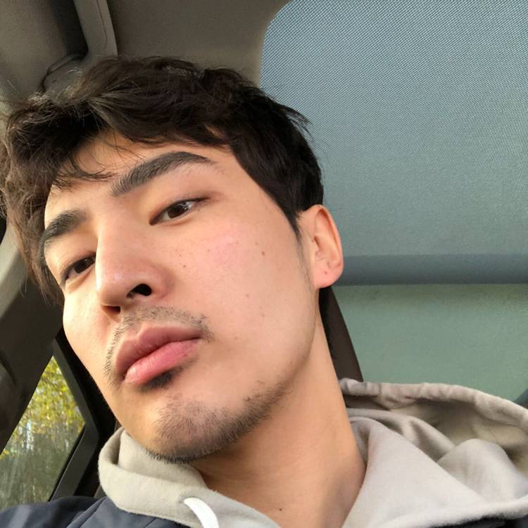 查理森林的照片