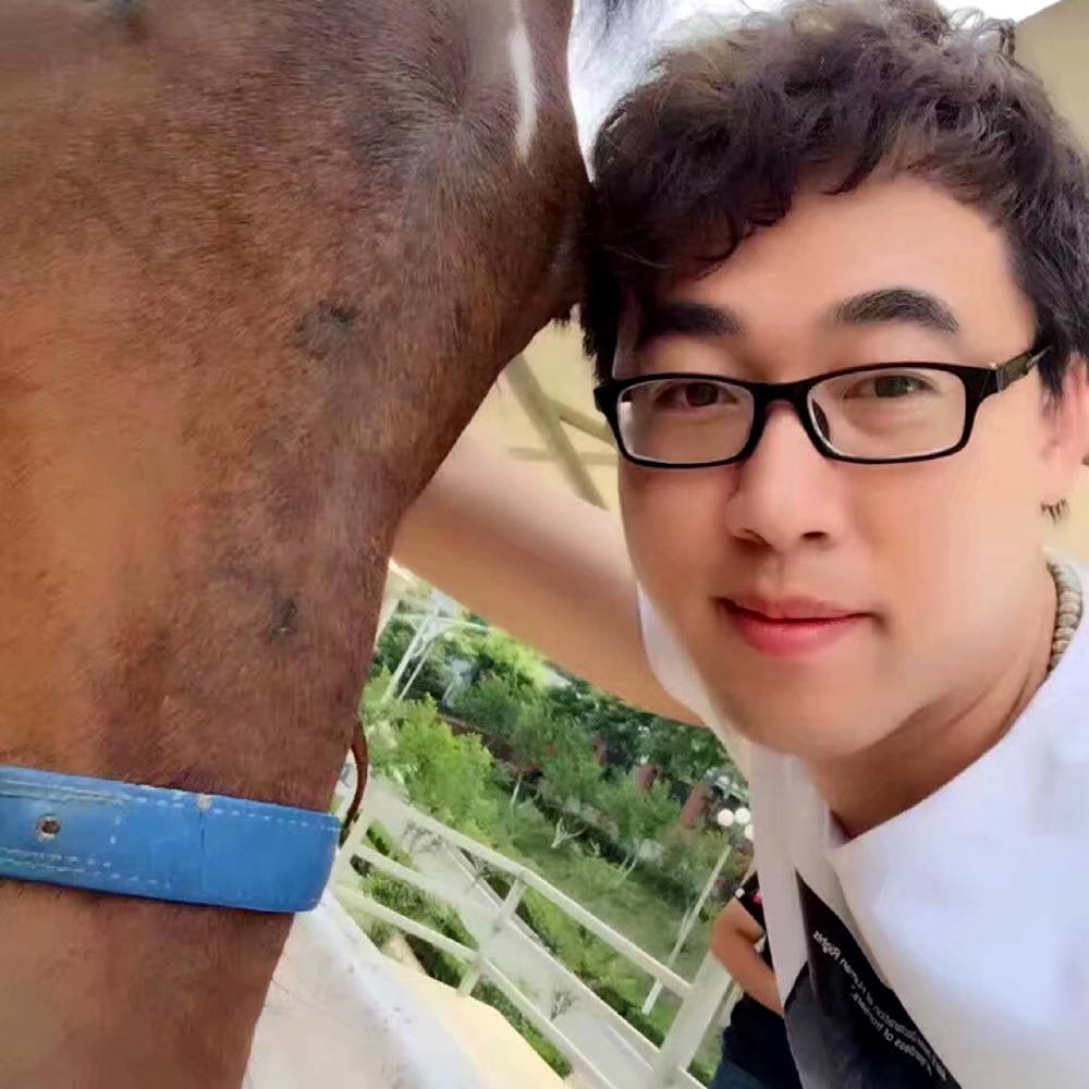 加油好男儿的照片