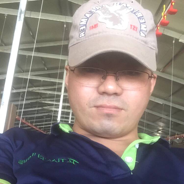 敏感斑马的照片
