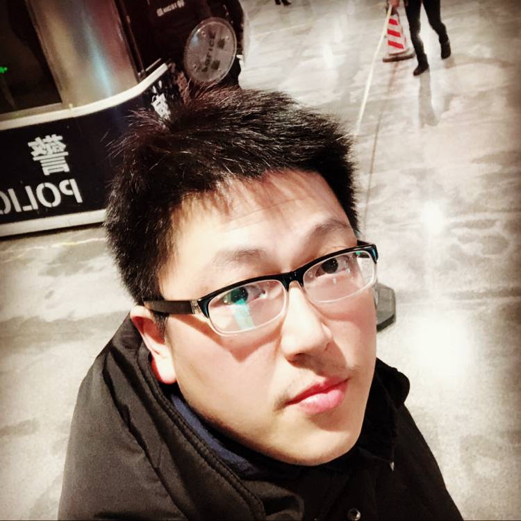 骑恐龙的猪的照片