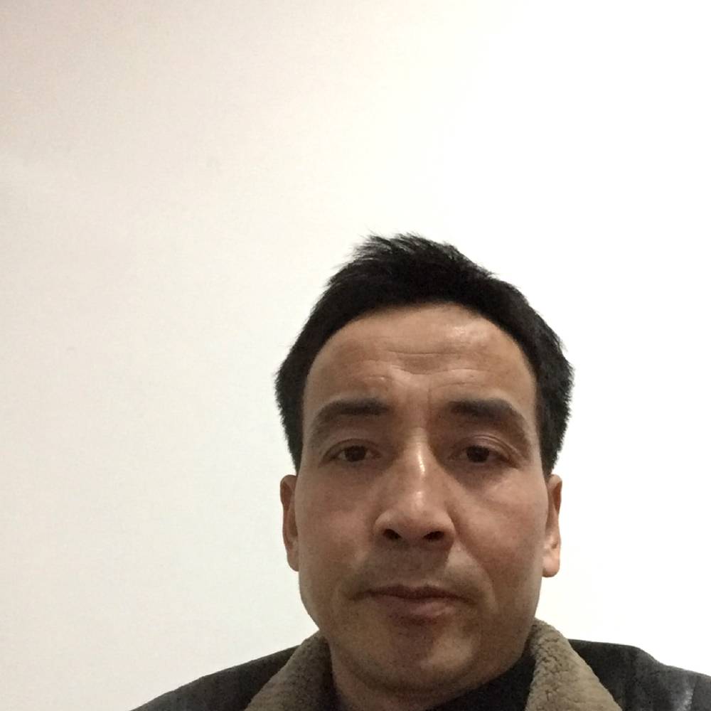 感动冬日的照片