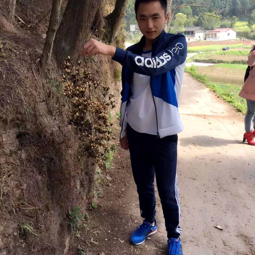 你若不离我必生死的照片